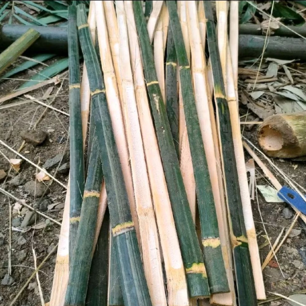 BILAH BAMBU TINGGI 1 M LEBAR 2CM