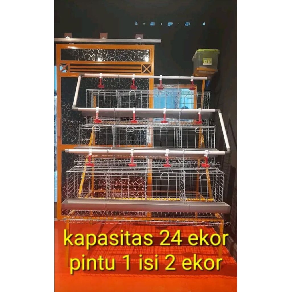 kandang ayam galvanis