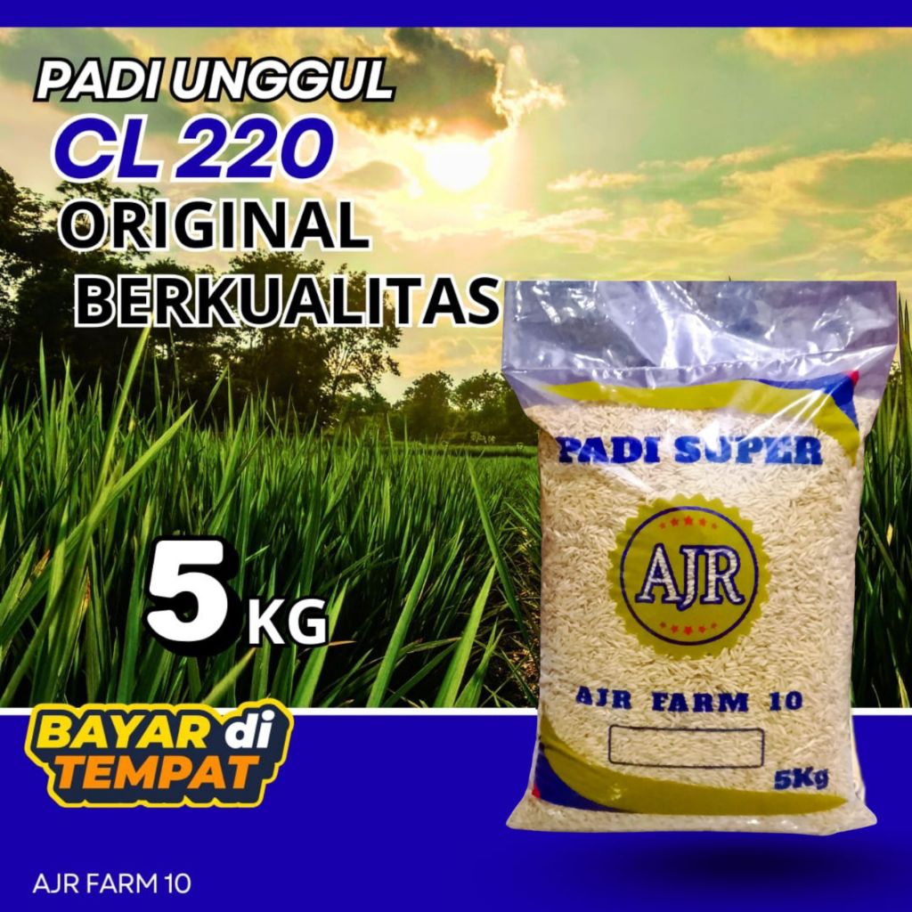 Benih padi unggul CL 220 5Kg