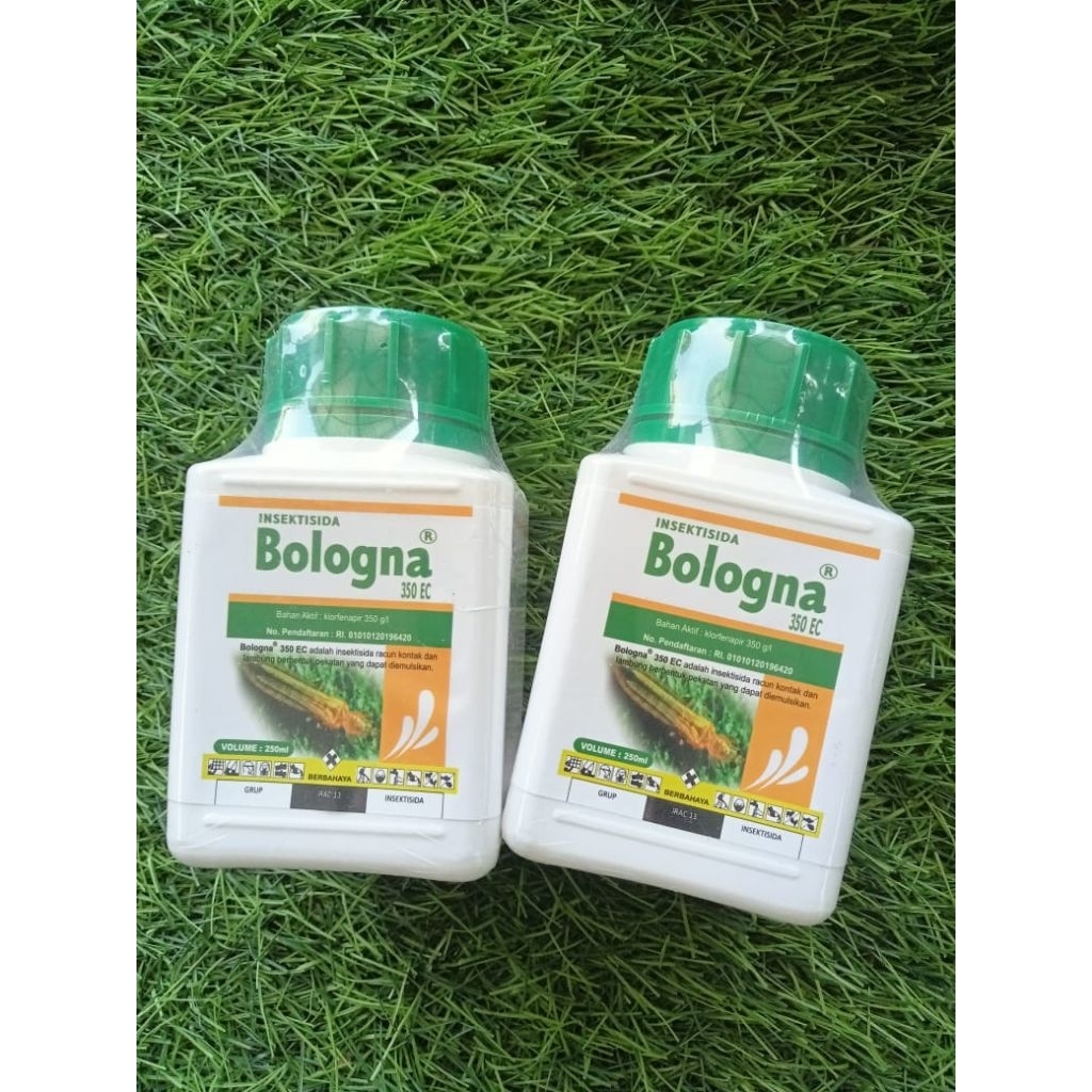Insektisida Bologna 350ec Pembasmi Hama serangga untuk tanaman padi & palawija 250ML