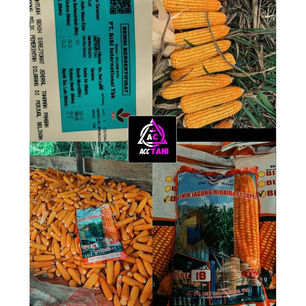 PROMO BENIH JAGUNG BISI 18 KEMASAN 5KG