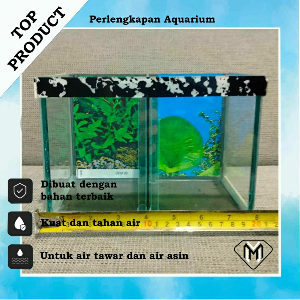 AQUARIUM IKAN CUPANG SEKAT / AQUARIUM MINIMALIS MOTIF / TEMPAT IKAN KECIL