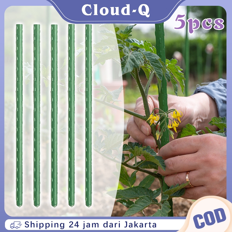 5Pcs 180cm Ajir Tanaman Rambat / Plant Stake Ajir Tanaman / Tiang Penyangga Tanaman