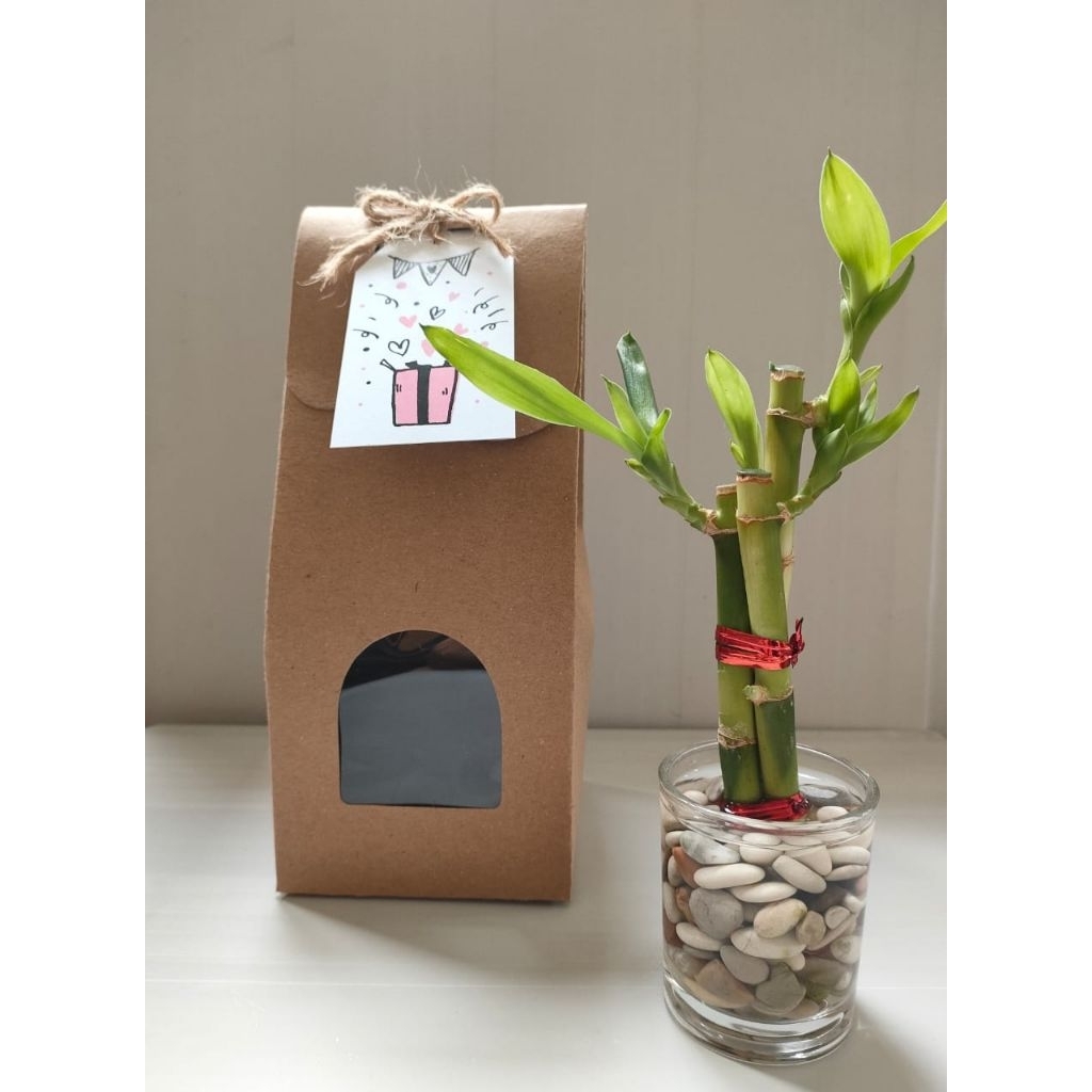 Souvenir bambu hoki jar diameter 5 cm