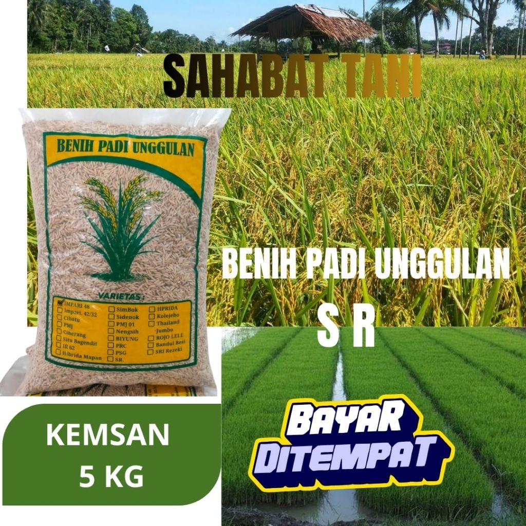 benih padi unggul SR kemasan 5kg