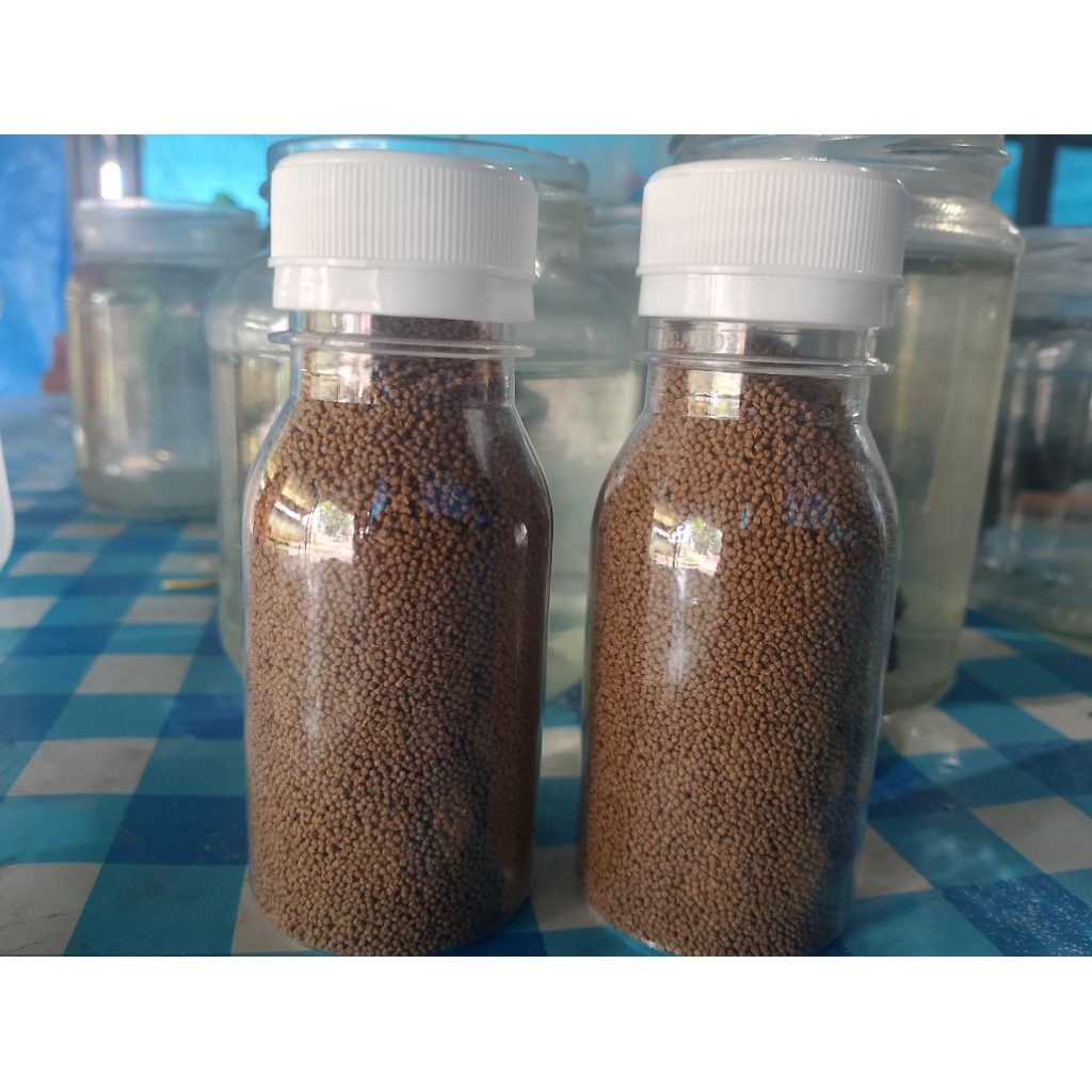 Pakan ikan hias dan bibit ikan kecil, cupang, Moli (pf500)