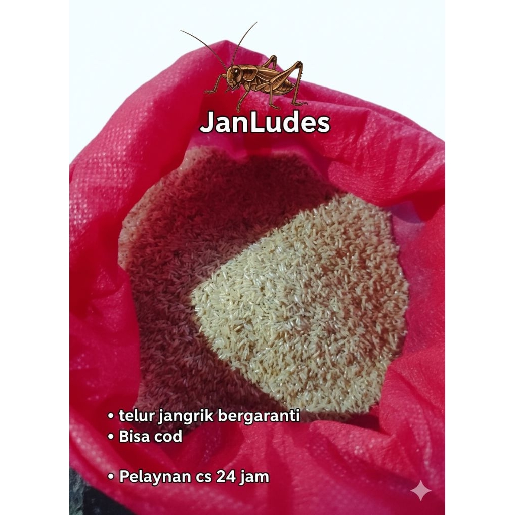 JanLudes Telur jangkrik Madu Kunyit 1kg Super bergaransi