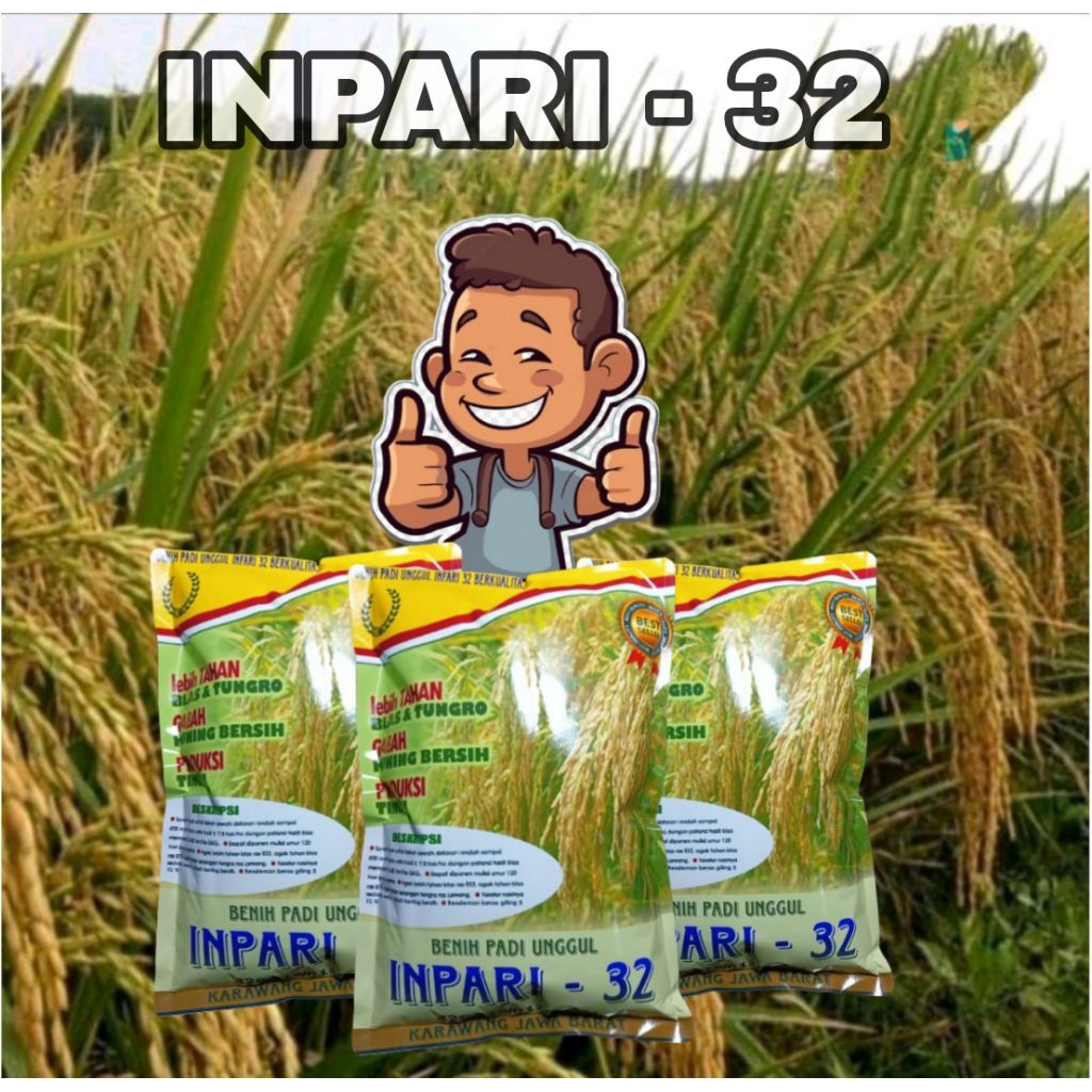 BENIH PADI UNGGUL SUPER UNGGUL INPARI 32 10KG