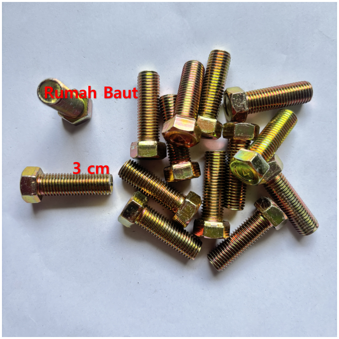 (ECER) Baut 14 (10mm) x 3cm + Mur + Ring