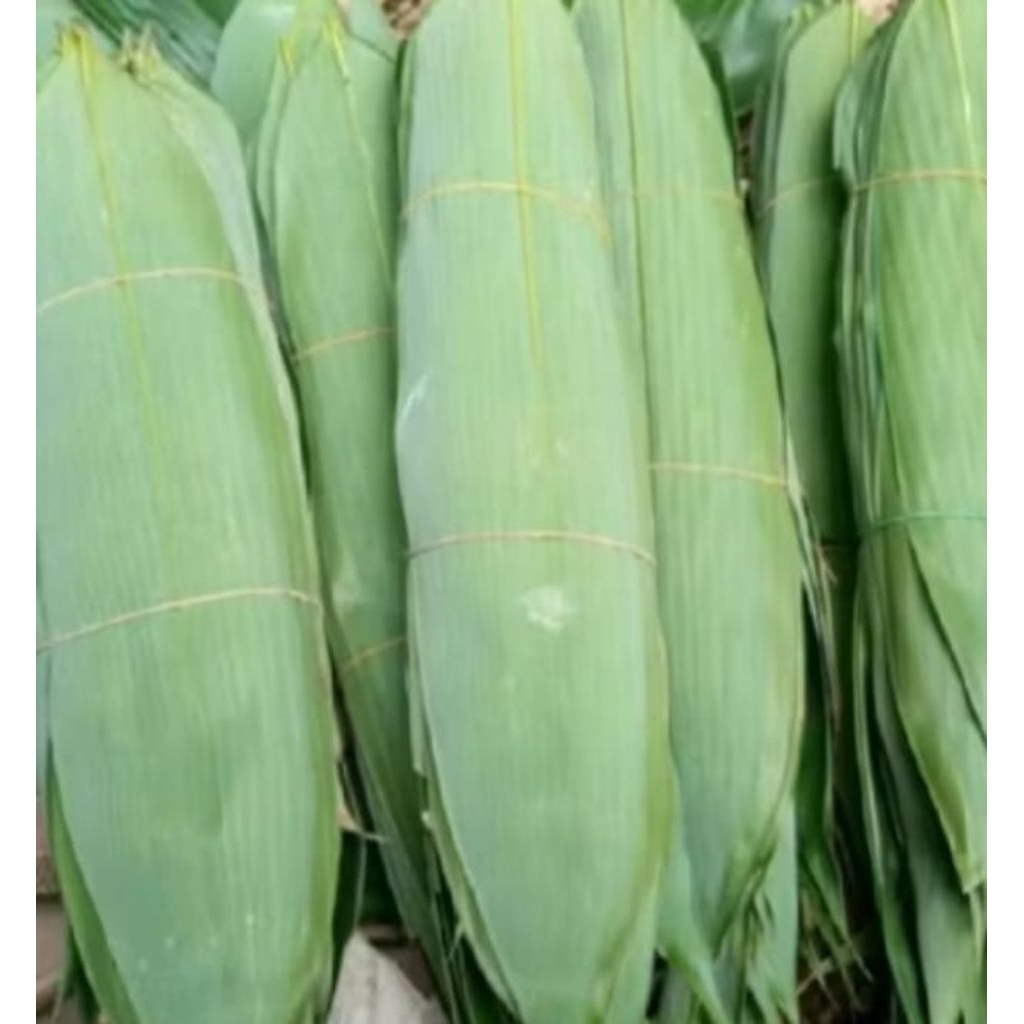 daun bambu untuk bungkus bacang 100 lembar