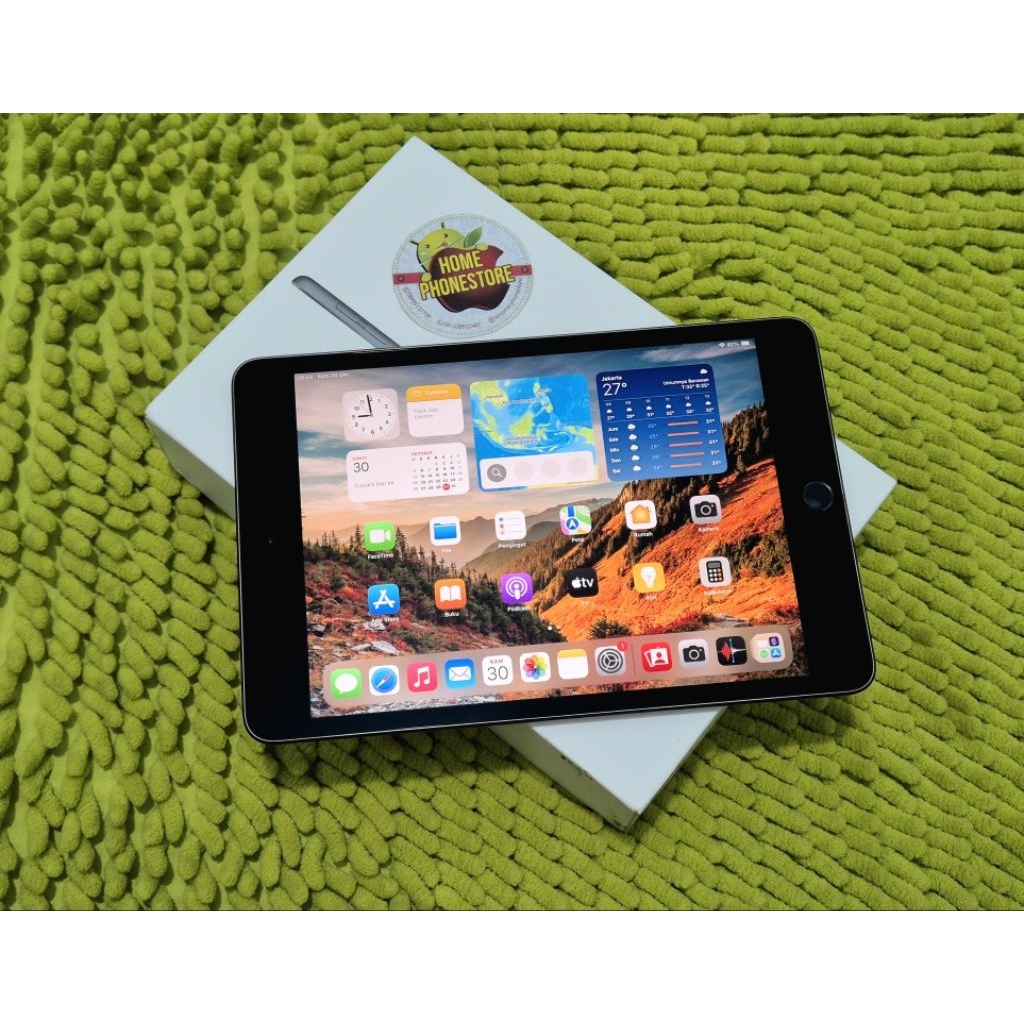 iPad Mini 5 256Gb WiFi Gray Baik Lengkap