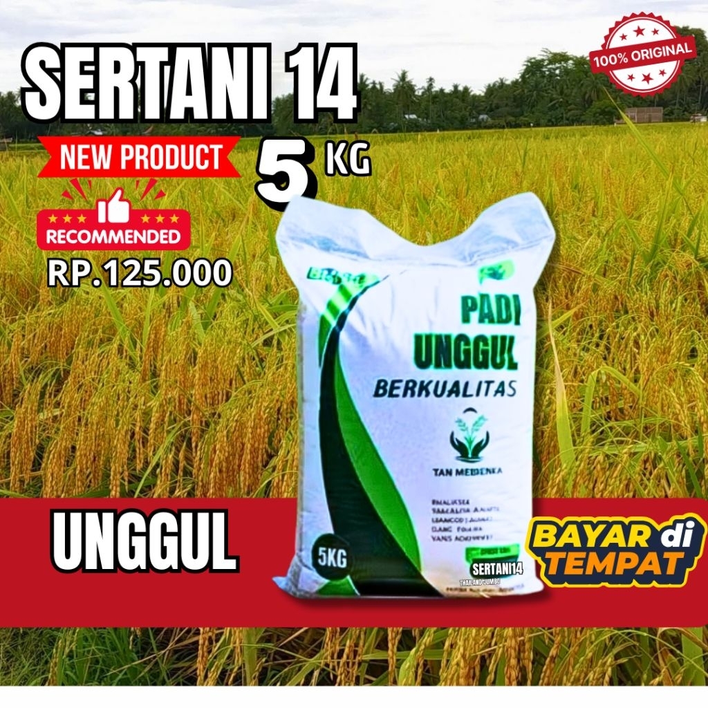 benih padi unggul benih padi SERTANI 14 5kg