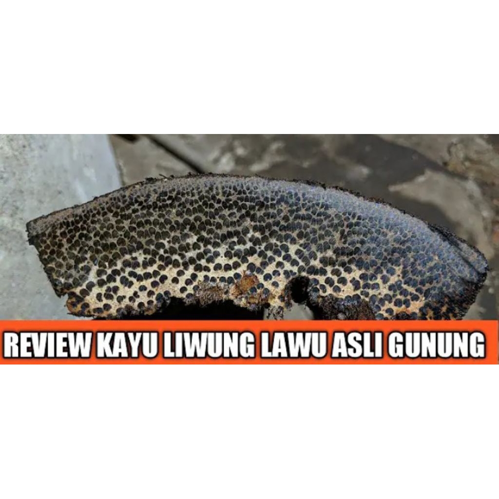 bahan tongkat kayu liwung original 100cm