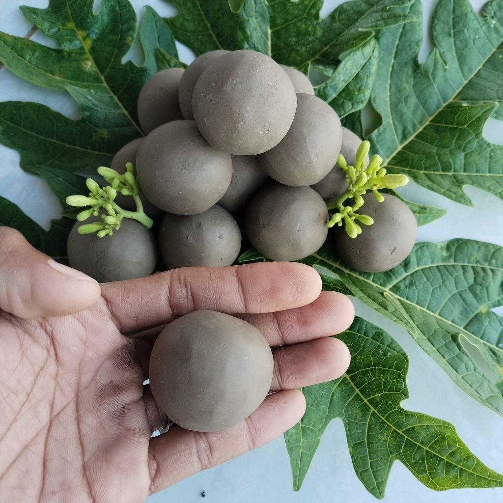 ampo tanah lempung tanah liat 30 pcs untuk masak daun pepaya