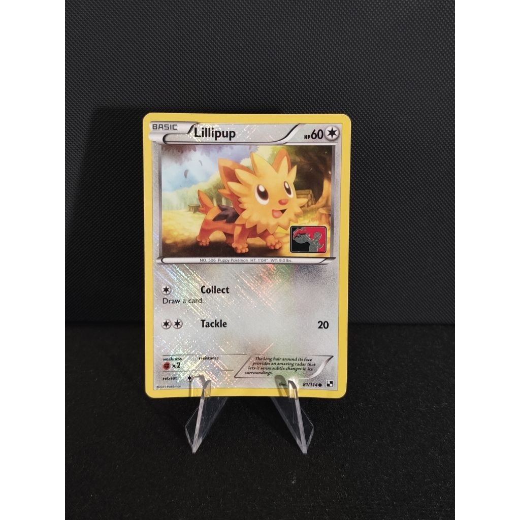 Lillipup Crosshatch Holo Pokemon (League Promo) Inggris