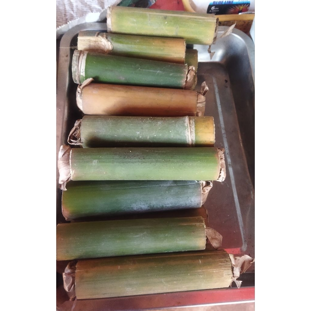 Ulat Bambu atau Ulat Bumbung