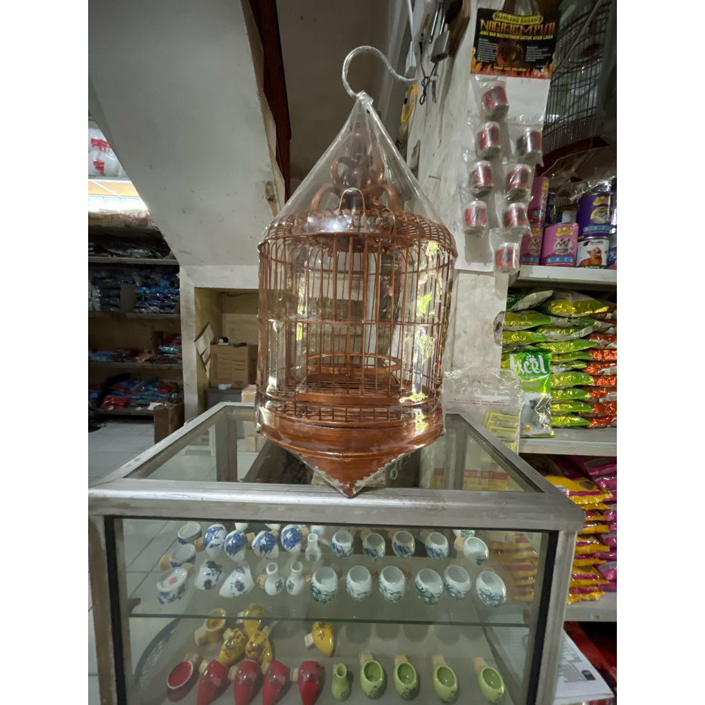 Sangkar Pleci Cungkok, Sangkar Cungkok Bulat, Sangkar Cungkok Kayu Jati diameter24 d24 original