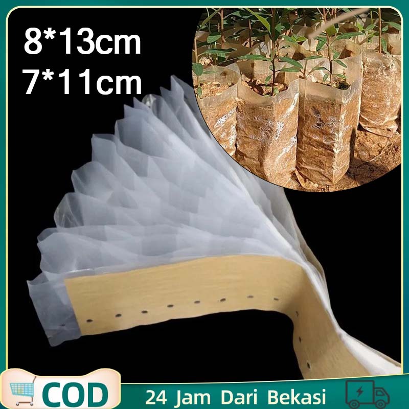Plastik Semai Benih 7 X 11/8x13 Cm 350 Lubang Polybag Semai Benih Polybag Semai Cabe Plastik Tanaman