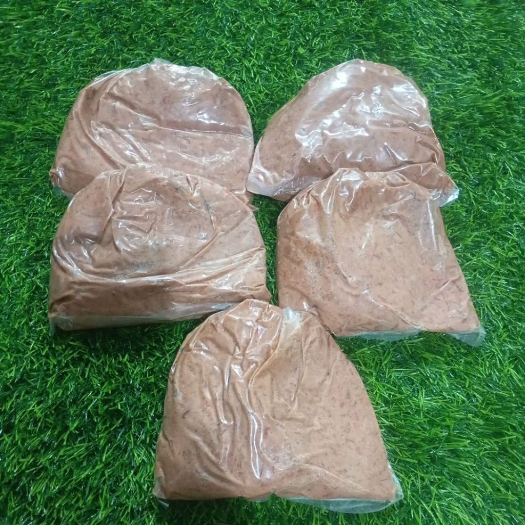 UMPAN PANCING LELE PALA UDANG