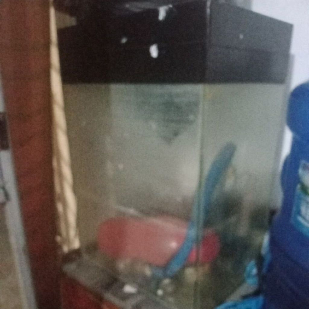 kaca akuarium