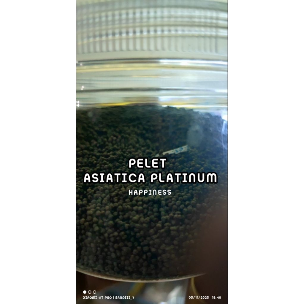 pelet asiatica platinum