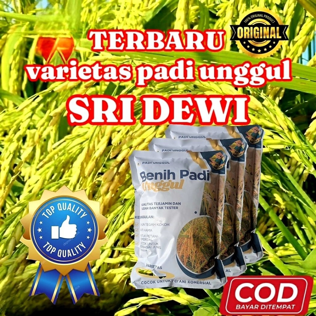 Benih padi hibrida SRIDEWI kemasan 1 kg