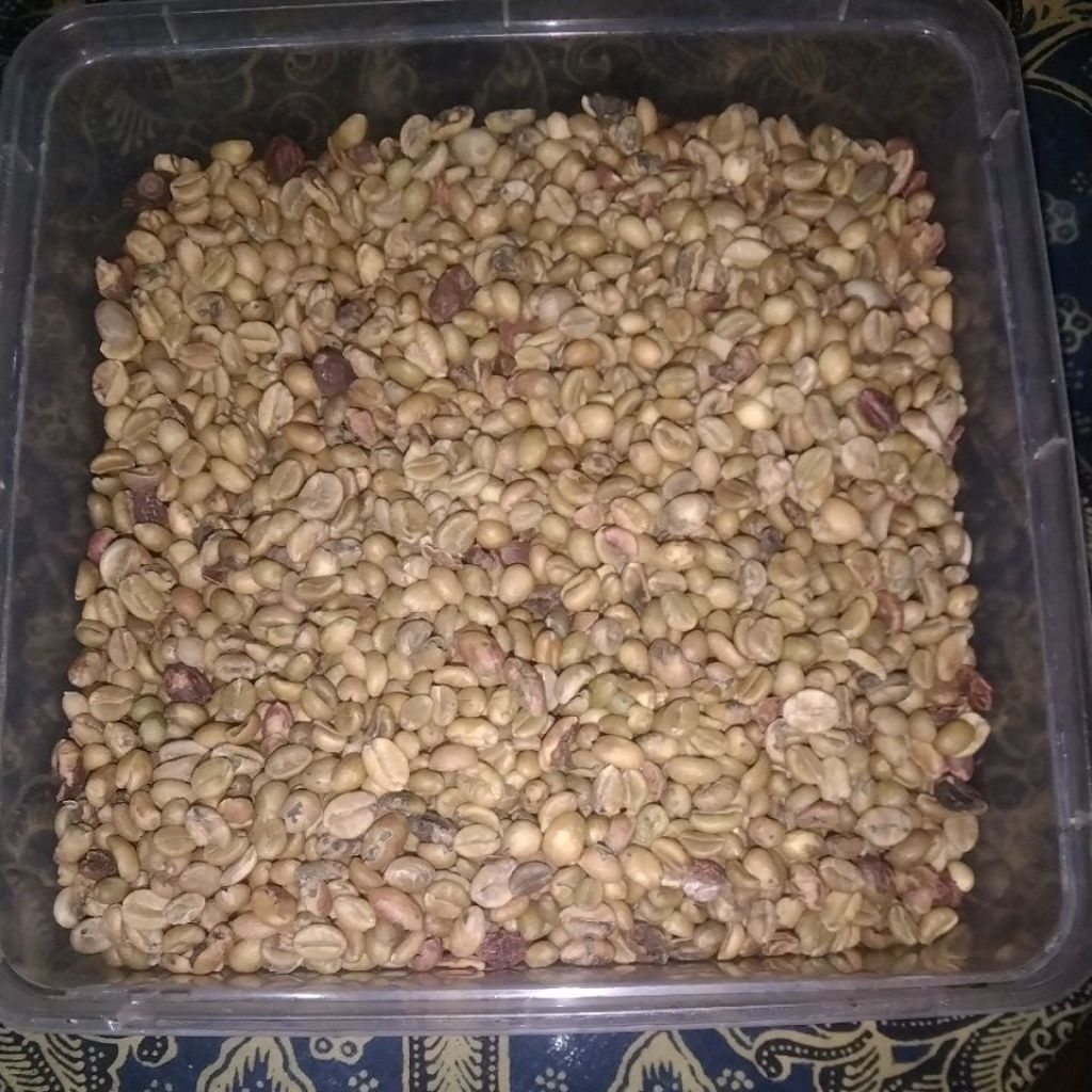Biji Kopi Semorondono Temanggung