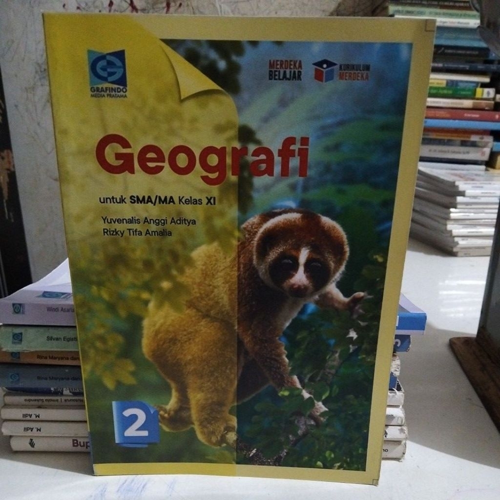 buku Geografi SMA kelas 2-11 penerbit Grafindo