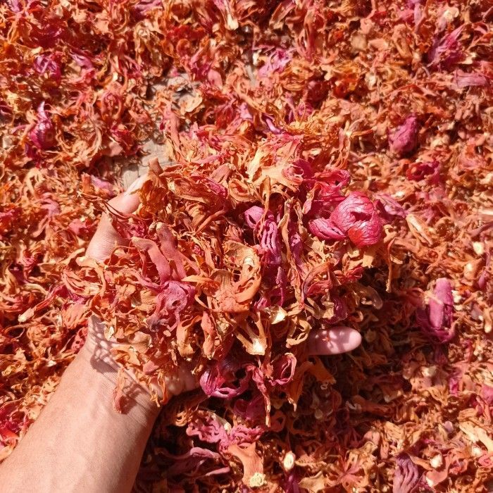 Bunga Pala Kering 1 kg - Fuli - Sempra Pala Kering