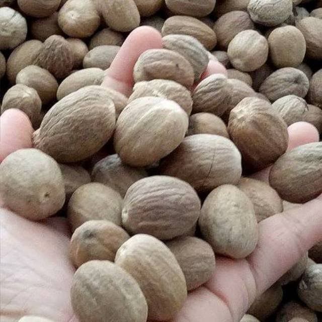 Biji pala utuh 100 gr / biji pala bulat / biji pala kupas / biji pala / nutmeg seed