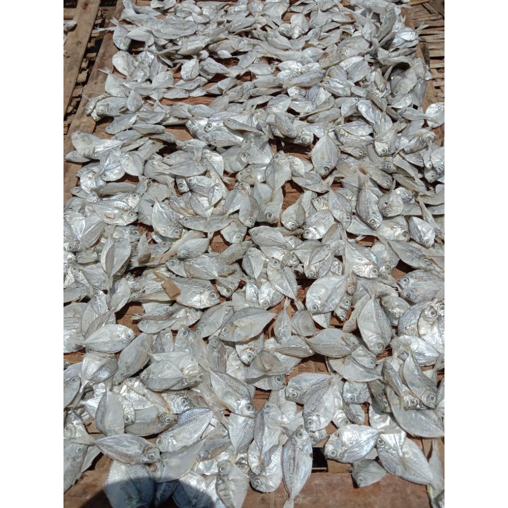 IKAN ASIN PETEK KECIL IKAN ASIN DOKDOK KECIL