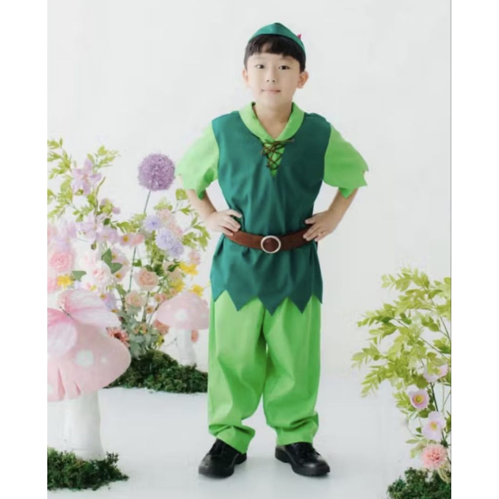 Costume Anak Peter Pan (kostum Peter pan) masih baru masih segel