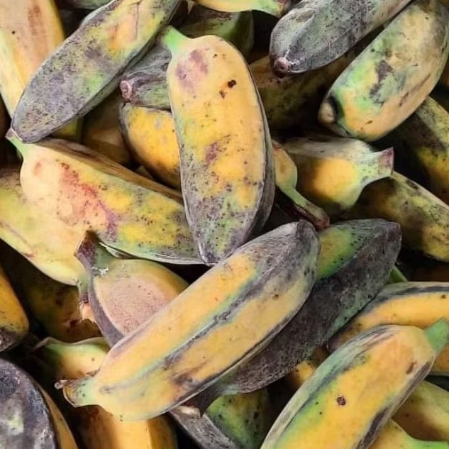 Pisang kepok kuning Pontianak 1 kg