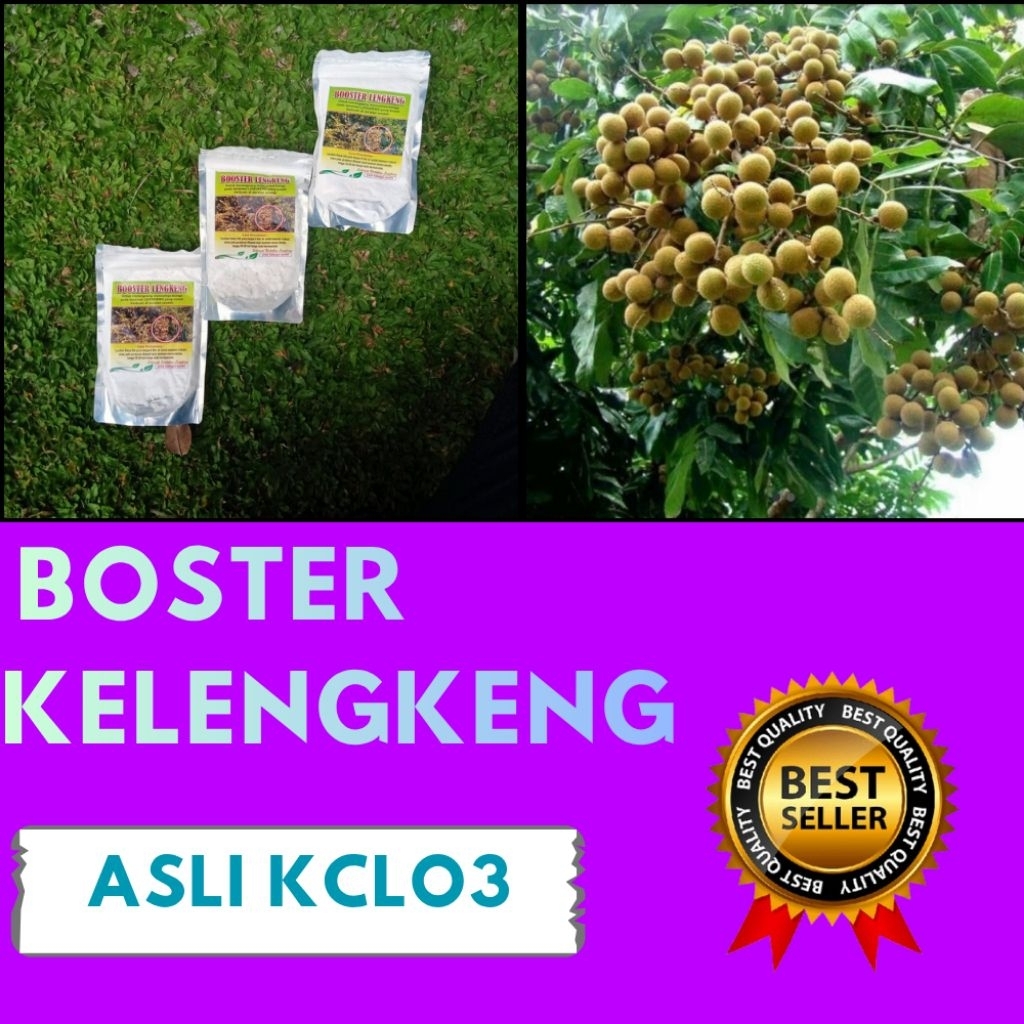 Pupuk Kelengkeng Kclo3