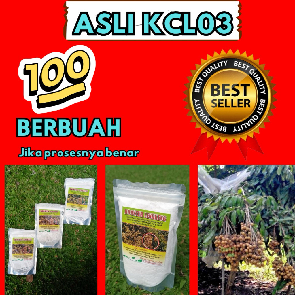 Booster Kelengkeng Terbaik, Booster Kelengkeng Terdekat