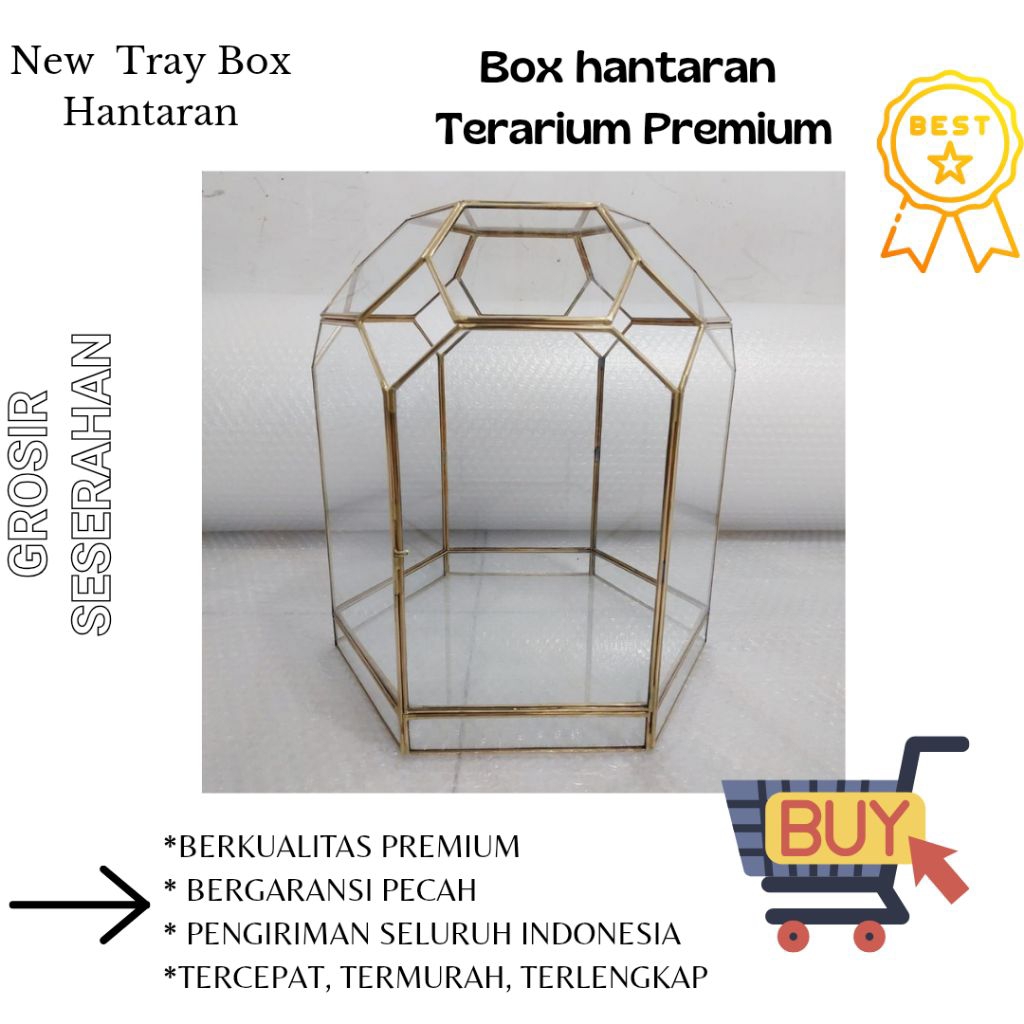 BOX HANTARAN TERARIUM PREMIUM