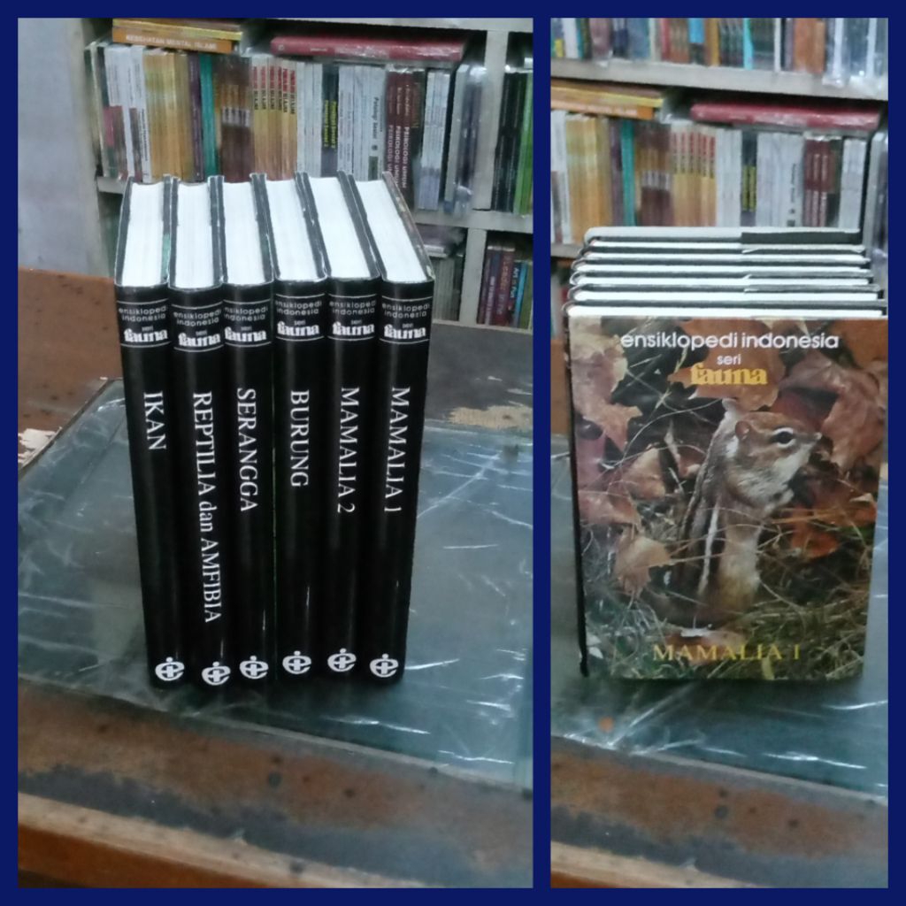 Buku Paket ENSIKLOPEDI SERI FAUNA :seri ensiklopedia yang terdiri dari enam buku tentang dunia hewan