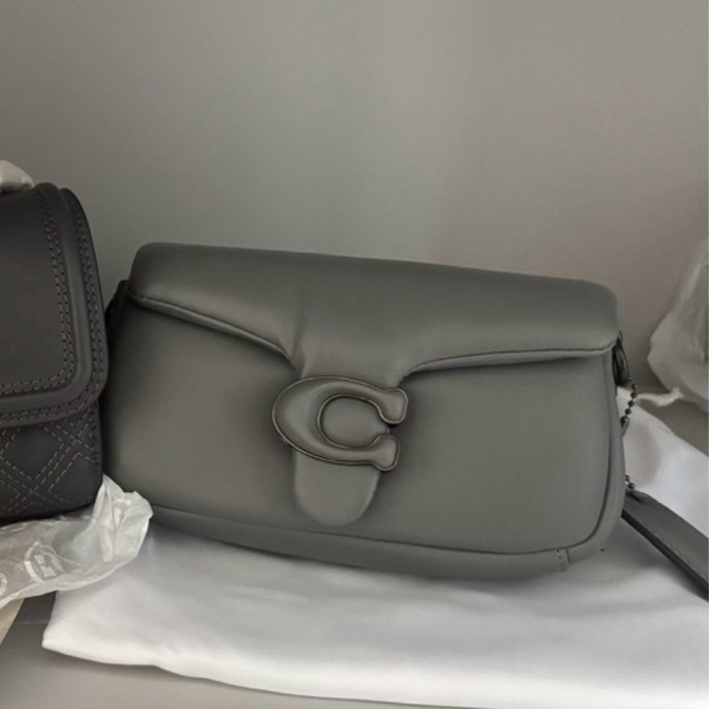 tas Jual rugi c*ach tabby pillow mini grey FO