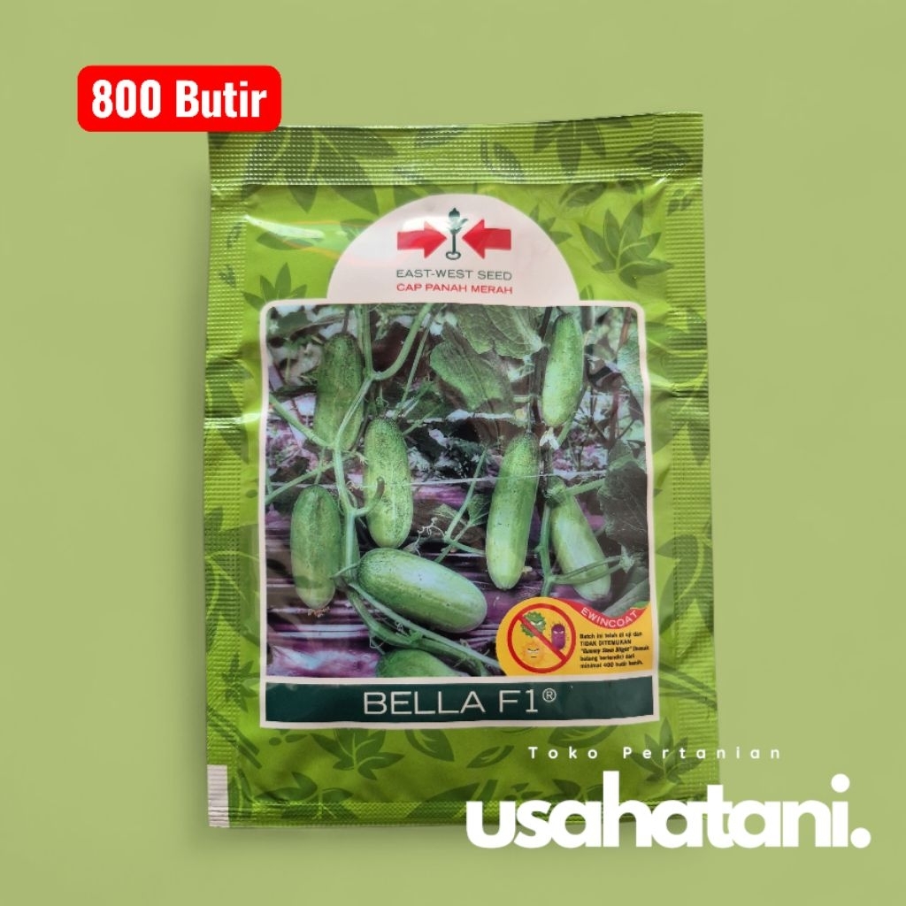 BELLA F1 800 Butir Benih Timun Baby Cap Panah Merah