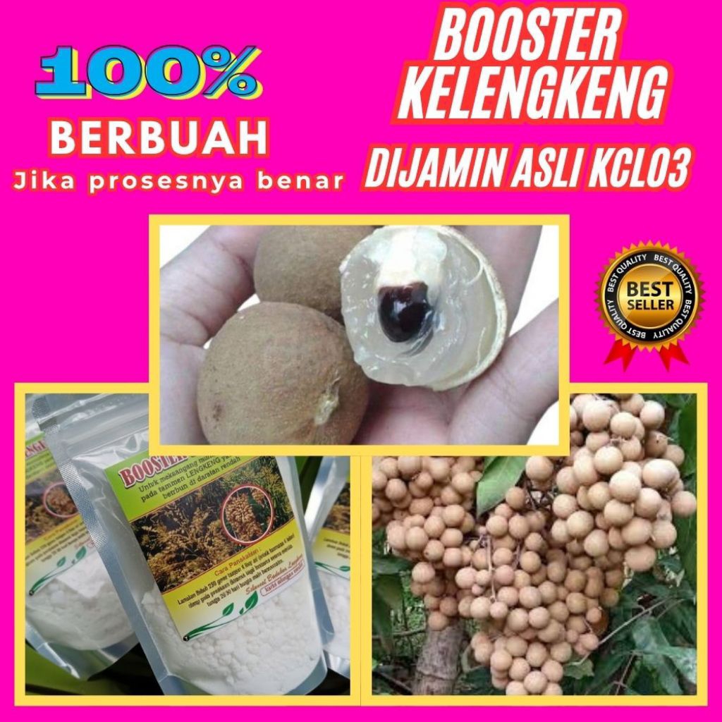 Boster Kelengkeng Itoh, Boster Kelengkeng Kclo3