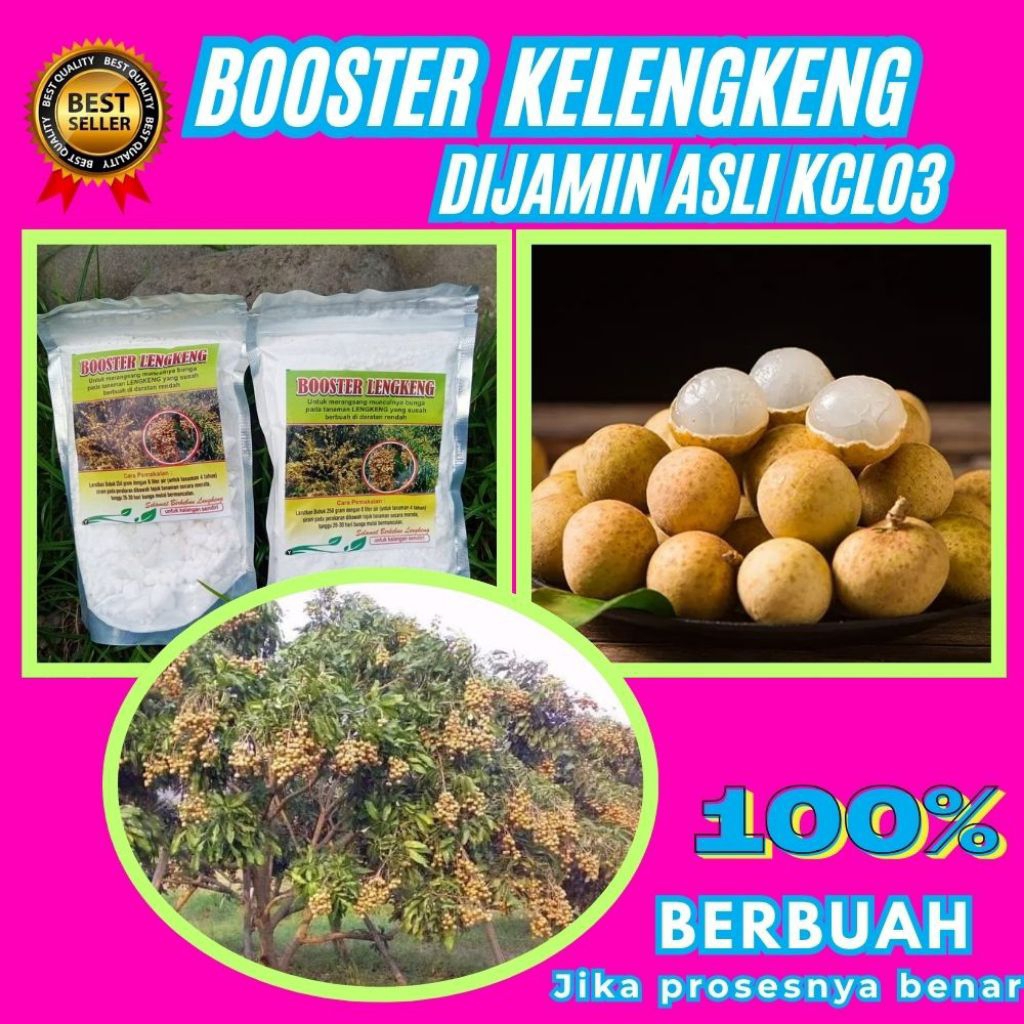 Booster Kelengkeng Serbuk, Booster Kelengkeng Terbaik, Booster Kelengkeng Terdekat