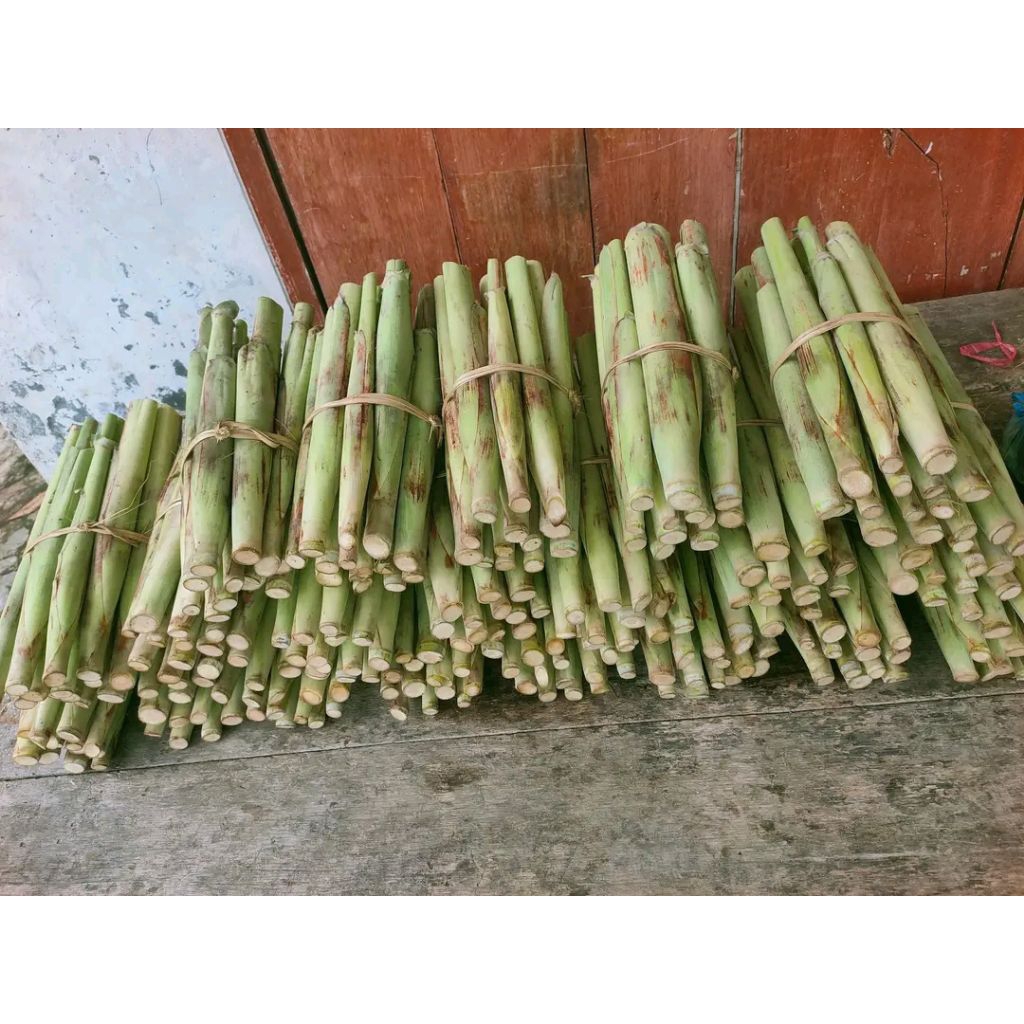 Sayuran terubuk turubuk sayuran telur tebu tebu telor