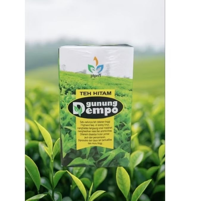 Teh Hitam Gunung Dempo Pagar Alam