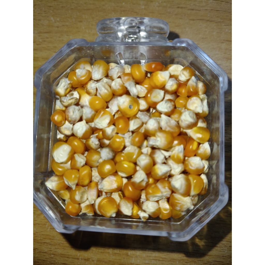 Jagung Super 25KG Pakan Ternak