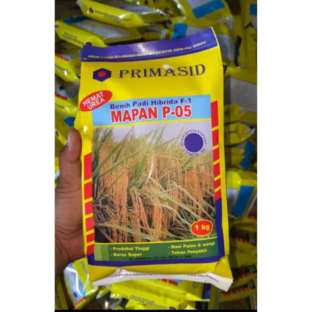 bibit padi mapan