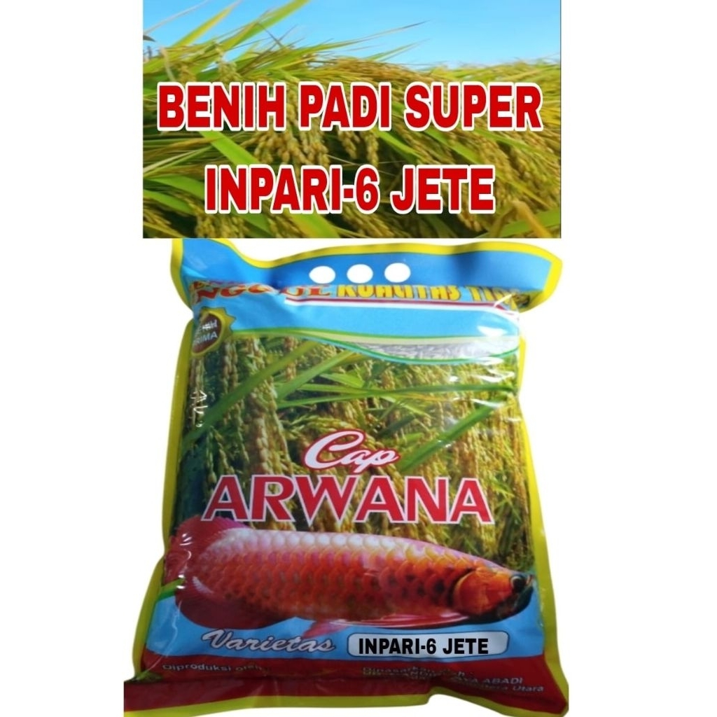 BENIH PADI 5KG INPARI-6 JETE KWALITAS PREMIUM SUPER ORIGINAL LABEL PUTIH