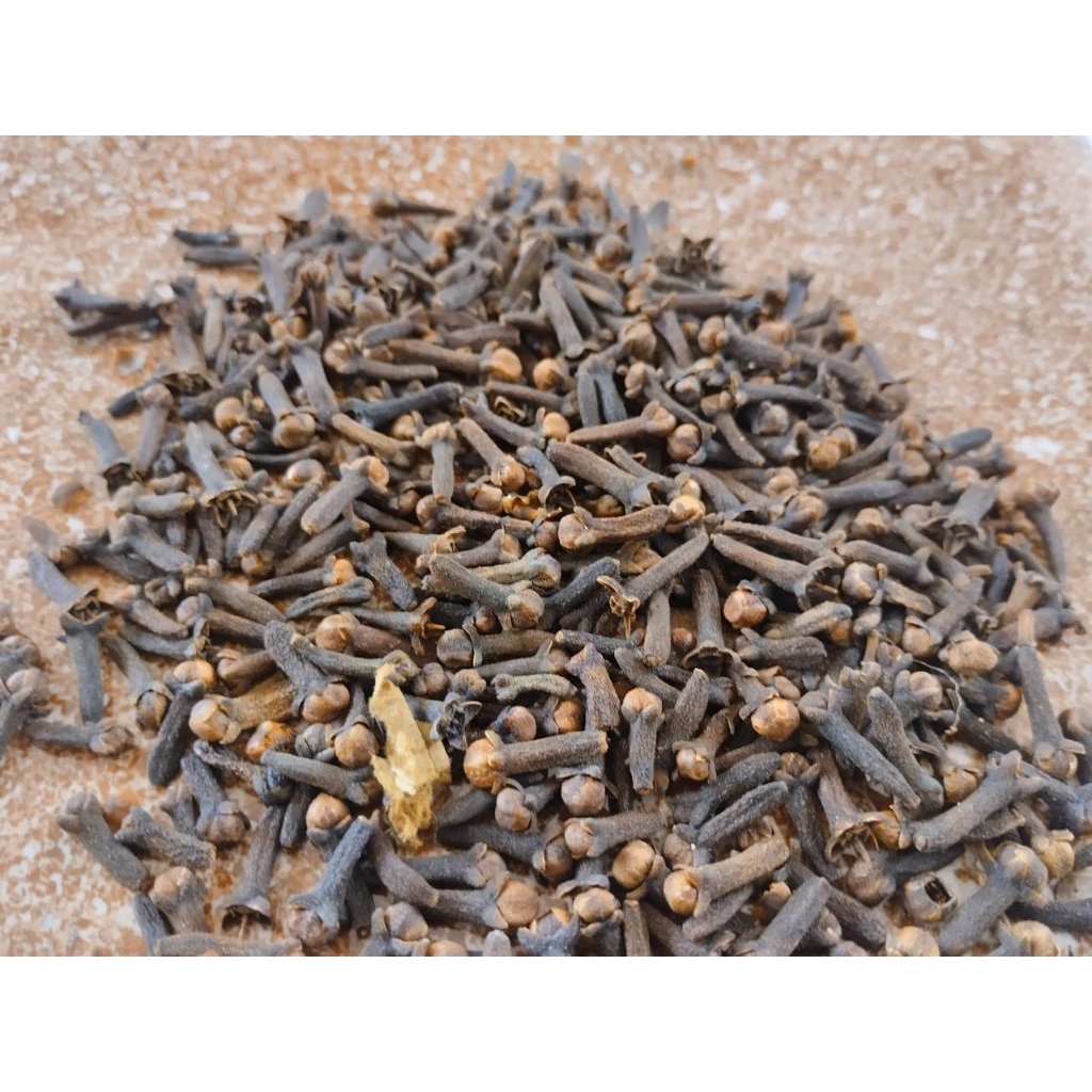 cengkeh kering asli papua