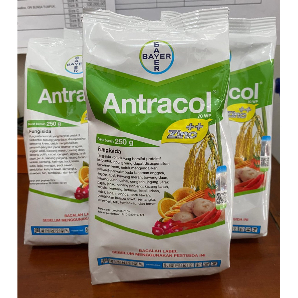 antracol 1000g