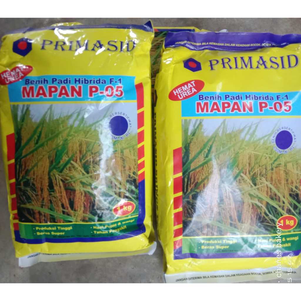 BIBIT PADI HIBRIDA PADI MAPAN P-05