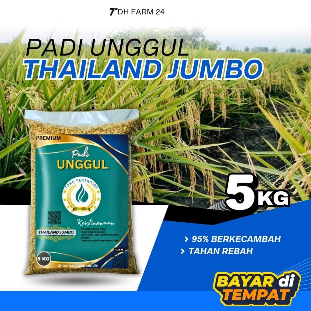 Bibit Padi Thailand Jumbo 5kg